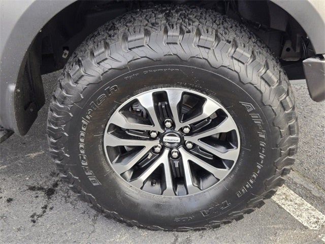 2019 Ford F-150 Raptor