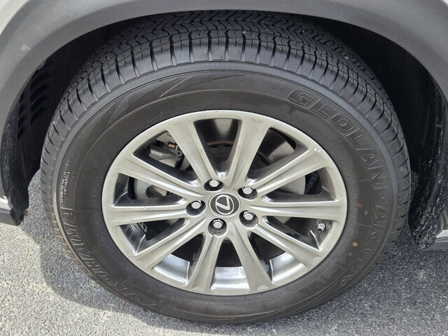 2019 Lexus NX 300 F Sport