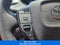 2025 Toyota Prius XLE