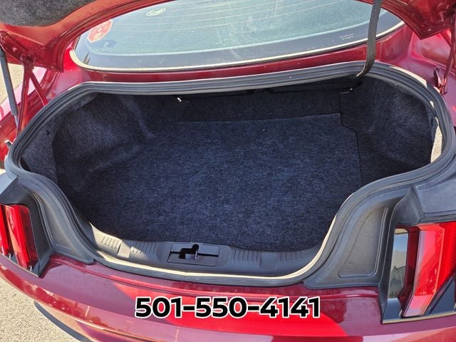 2019 Ford Mustang ROUSH GT