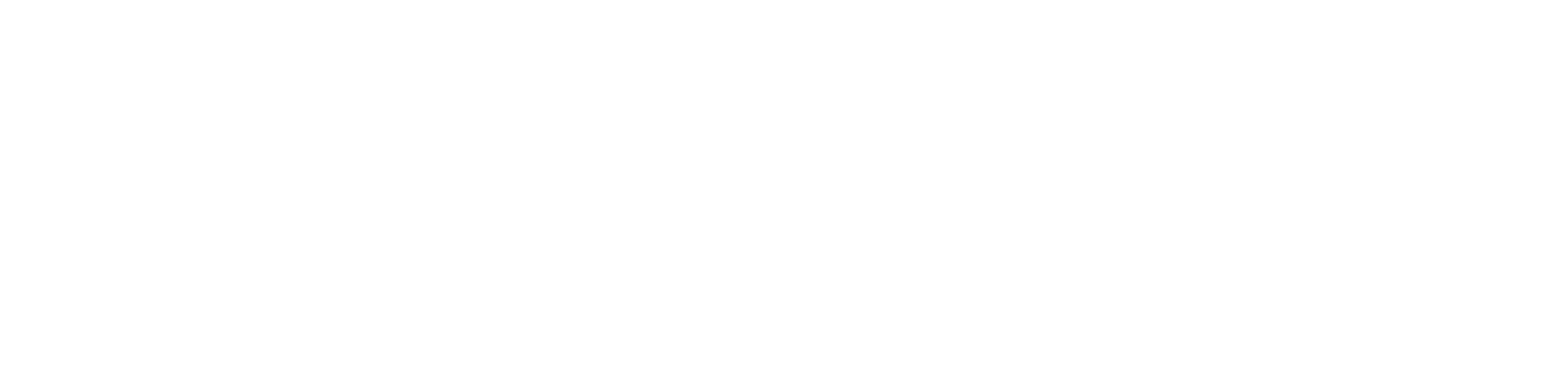 Protection Plan Footer Logo